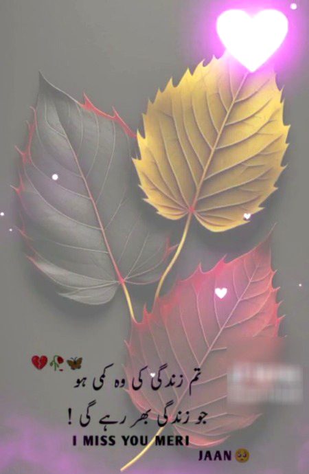 🌹 merijan-16 🌹