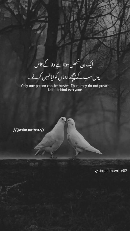 Attitude Quotes image