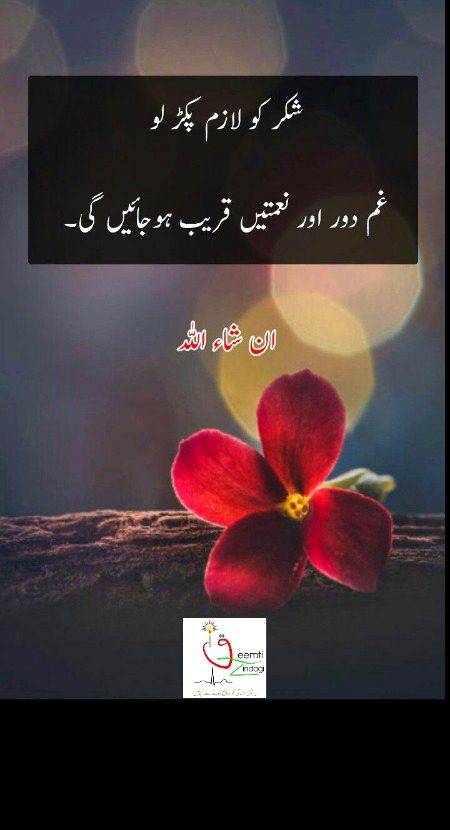 Motivational Quotes image