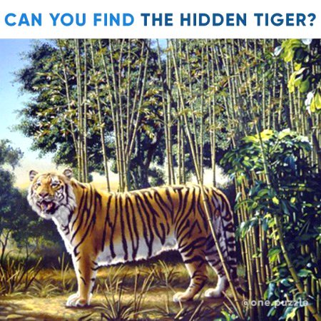 Riddles & Puzzles image