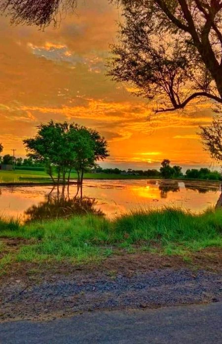 Beautiful Nature image