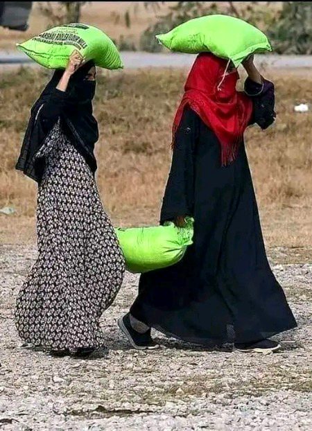 مطالعہ پاکستان کے مطابق پاکستان گندم پیدا کرنے والا ساتواں بڑا ملک ہے۔۔۔
 مگر آٹا خریدنے کیلئے مطالعہ پاکستان کا استاد اور شاگرد دونوں لائن میں کھڑے ہوتے ہیں۔۔۔۔