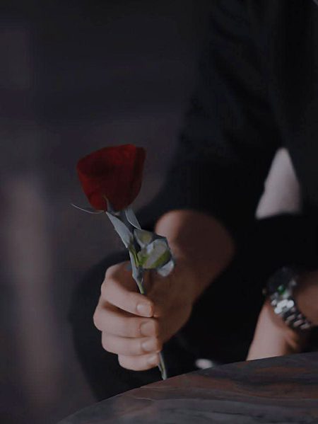 Beautiful Nature image