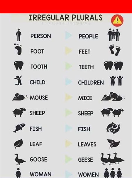 Tips for Students image