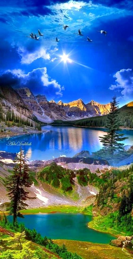 Beautiful Nature image