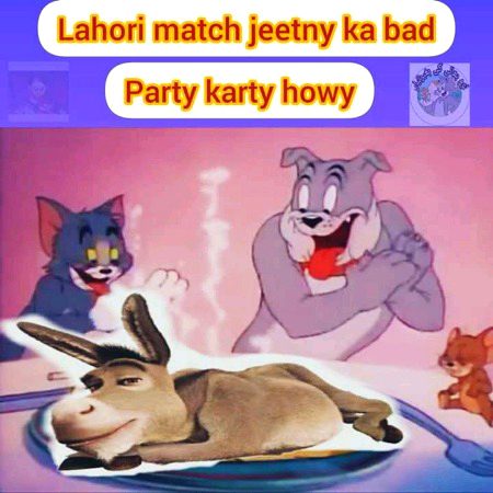 Memes & Satire image