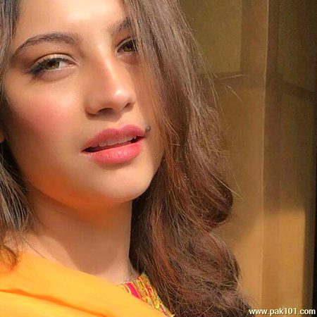 Pakistani Celebs image