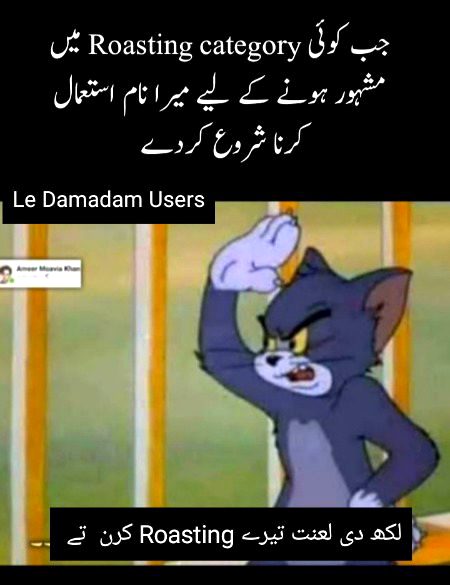 Damadam Roasting image
