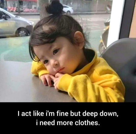 Memes & Satire image