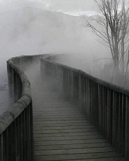 Beautiful Nature image