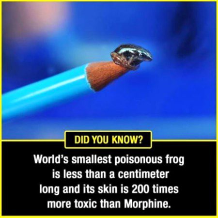 Interesting Posts image