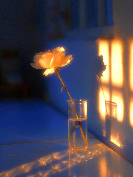 Digital Art image