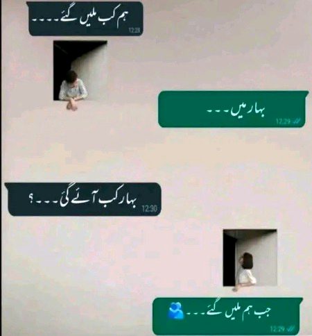 ہم آخری بار کہاں ملے تھے ؟؟؟
"عالم ارواح میں"
پھر کب ملیں گے؟؟؟
"میدان حشر میں"
یعنی کہ یہ زندگی رائیگاں گئی۔۔!!!