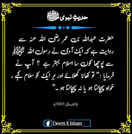 Islamic Quotes image