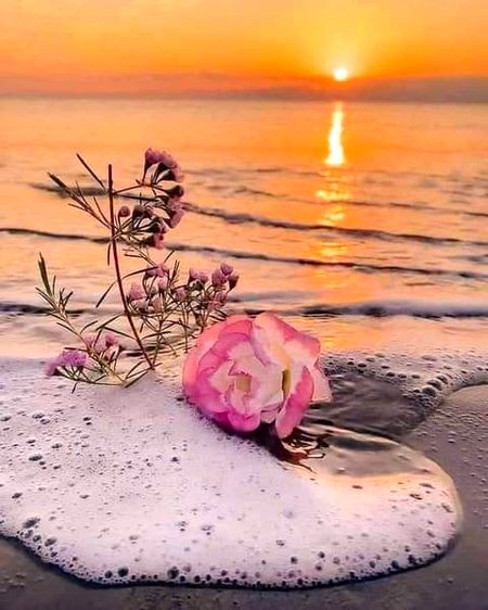 *اپــنــوں کی غــلطــیاں بــھی اپـنی ہی ہوتی ہیں مــــل جــــل کــــر سـدھار لـیـنـی چاہئیں
انــــا اور تـــــکــبـــر کـی دسـتـار باندھ کـر دوســـــروں کـے جھـــکـنـے کـا انــتـظـار نہیں کـرنا چاہیے._یــــــہی رشــتوں کی بــقا کـا راز  ہـــے