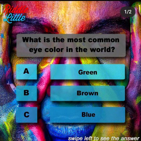 Knowledge Test image