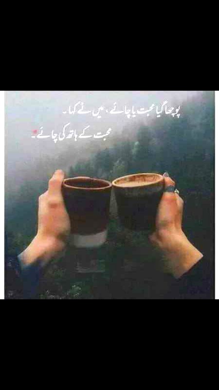 اگر تم پسند کرتے ہو
گرم چائے,شاعری, خزاں کا موسم
گرتےپتے 🍂
لمبے رستے،ہلکی برف باری
لالٹین کی روشنی, 🕯️ ستاروں سے بھرا آسمان ✨
اڑتی تتلیاں🦋
صبح ( پرندوں کی چہچہاہٹ 🕊️)
شام(ٹھنڈی ہوا کے جھونکے)
ڈوبتا سورج ⛅،پرانی ریلوے،
پرانی تصویریں, ٹوٹے دروازے
کتابیں
اور سادہ طرز زندگی
تو سمجھو میں آپ کا احترام کرتا ہوں