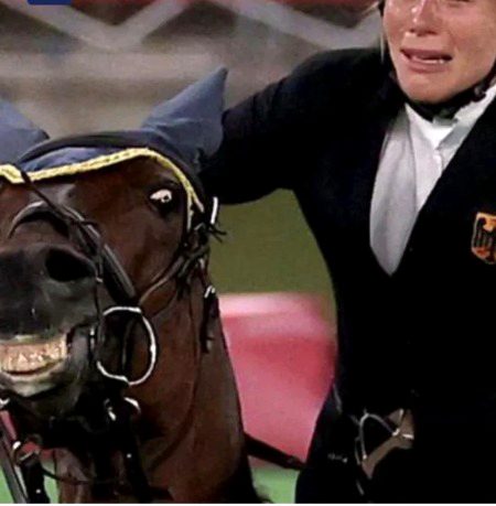 Memes & Satire image