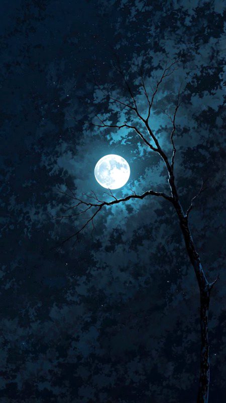 Beautiful Nature image