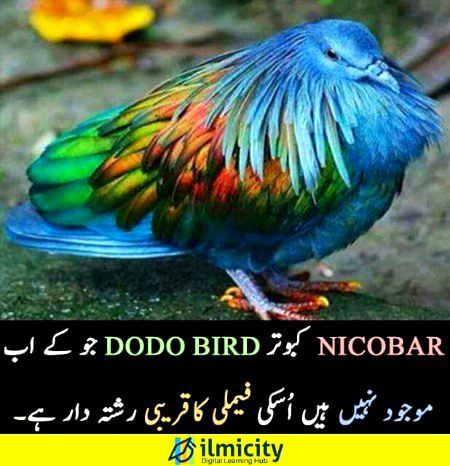 Interesting Posts image