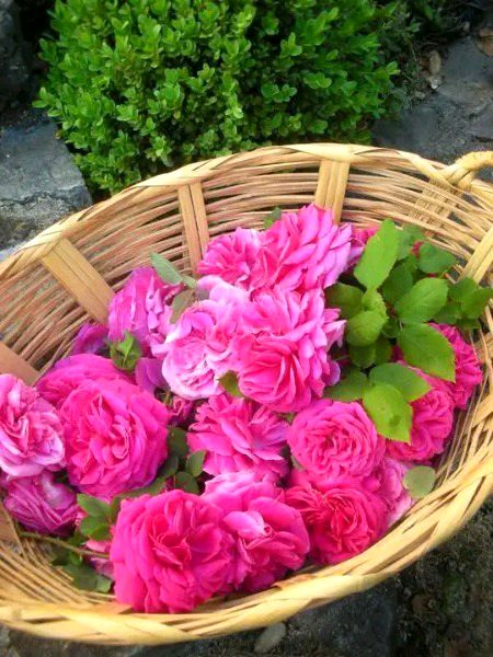 Beautiful Nature image