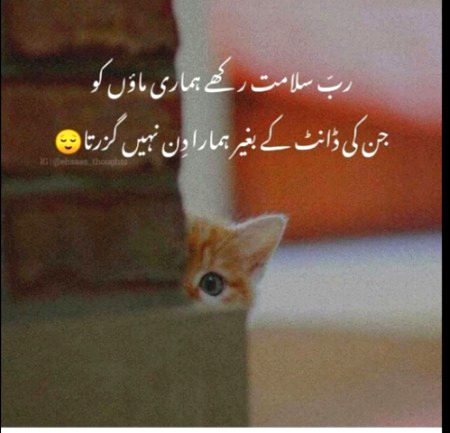 MeRa guzaR jAta hAi meRi aMma kA nAi guZrta diN