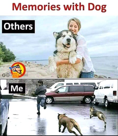 Memes & Satire image