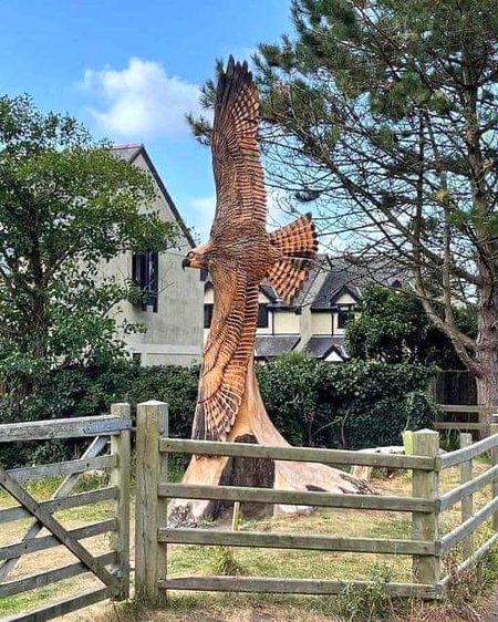 Beautiful Nature image