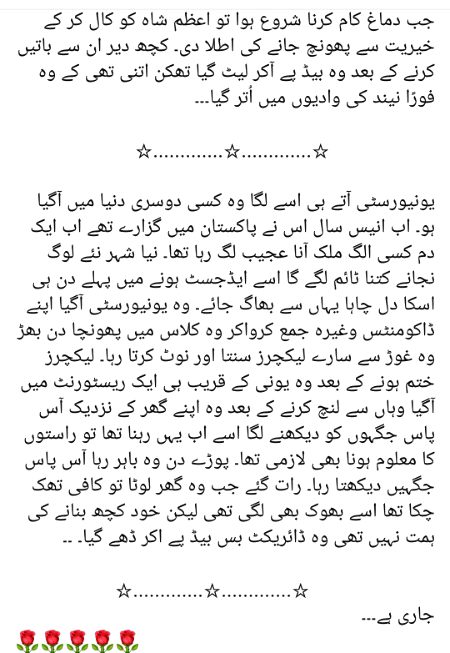 Romantic Novels image