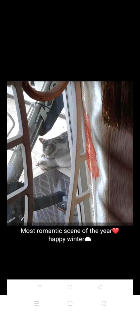 Apne honton se choom loon ankhen teri
Bechain kardoon sb raaten teri
Lahoo ban kar sama jaon tery ang ang me
Ban jaon tera dil mehsoos karon saansen teri
👩❤️💋👨😘