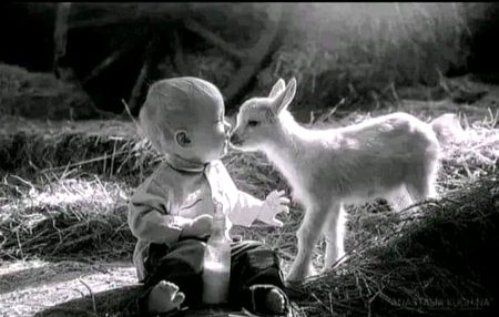 ایک اُس کا ہی آسرا تھا مجھے ۔۔
 اب اُس کا بھی آسرا نہ رہا
🖤