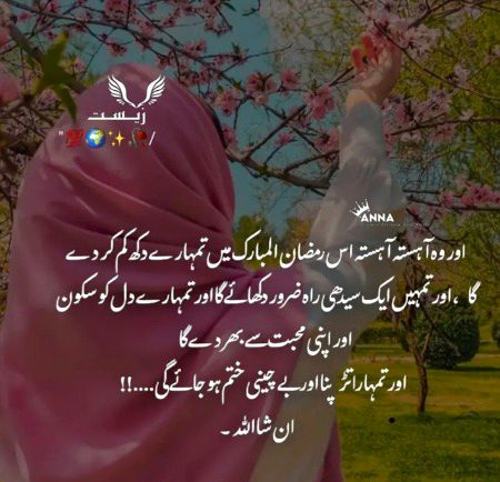 Islamic Quotes image