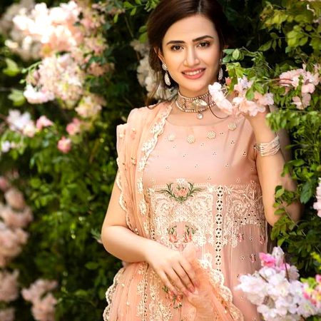 Pakistani Celebs image