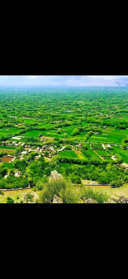 Beautiful Nature image