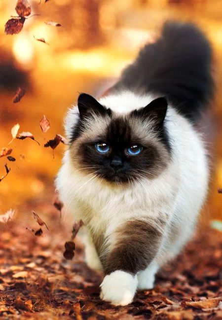 Beautiful Nature image