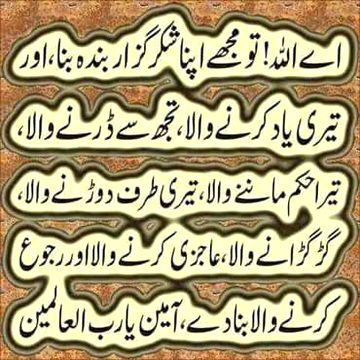 Islamic Quotes image