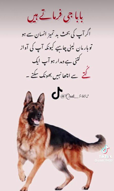 Life Advice image