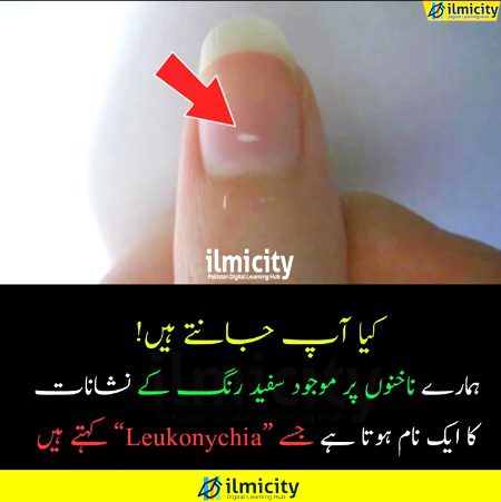 Interesting Posts image