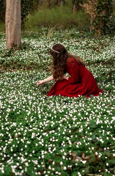 Beautiful Nature image