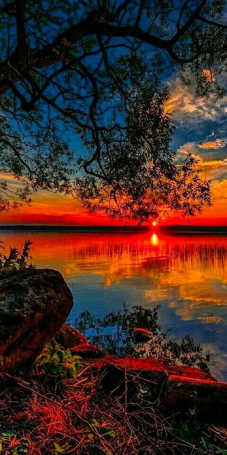 Beautiful Nature image