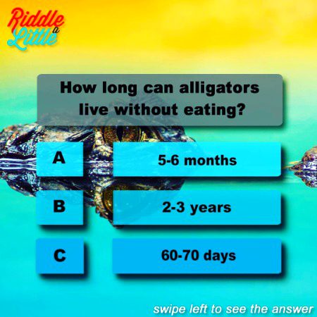 Knowledge Test image