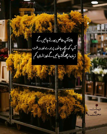 ✨:فرصت ملے تو سوچیں گے بیٹھ کر
زندگی کہا سے خراب ہوئی ہم سے🥀
💖🥀🫰