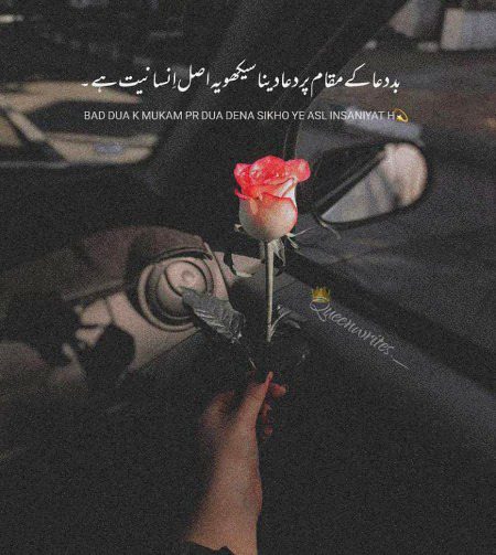 یہی اصل اِنسانیت ہے 🥀