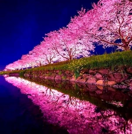 Beautiful Nature image