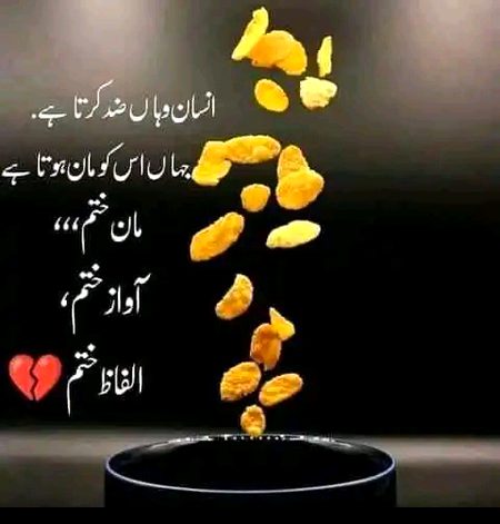 انتظار تھا ہم کو جن کا برسوں سے چاند
وہ آئے تو تھے مگر بچھڑ جانے کے لیے