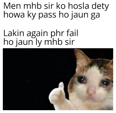Damadam Roasting image