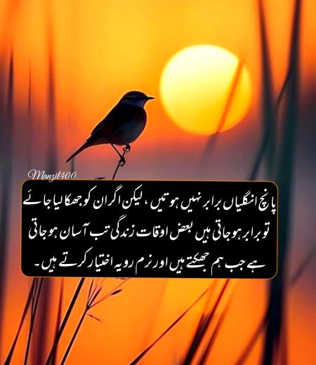 🌹 merijan-16 🌹
Isi lye khud ko jhuka lya h or jotna hoskhta h naram rawya rkhta hun phr bhi logo gussa ajata h or chir jaty hen Hy ry zindagi