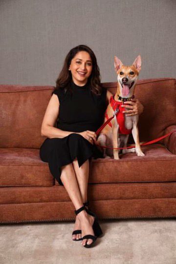 Indian Celebs image