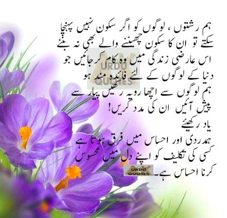 Motivational Quotes image