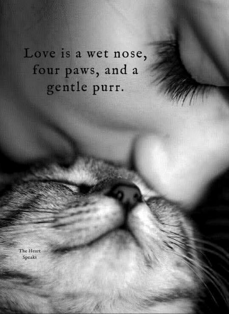 Beautiful Nature image